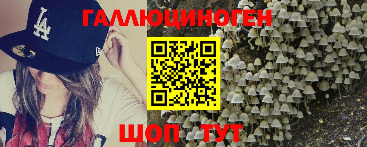 Галлюциногенные грибы Psilocybe Советский