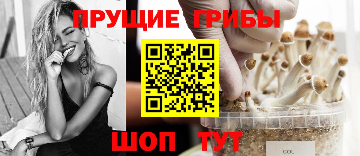 Псилоцибиновые грибы Cubensis  Вход с VPN  Советский 
